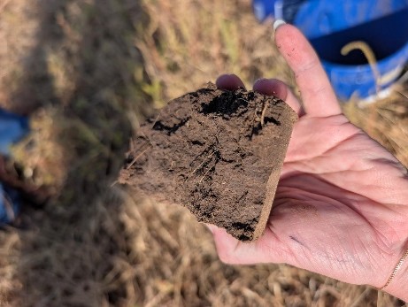Close-up of a loose soil sample held in a hand, showing brown soil structure, compacted aggregates and small plant roots.
