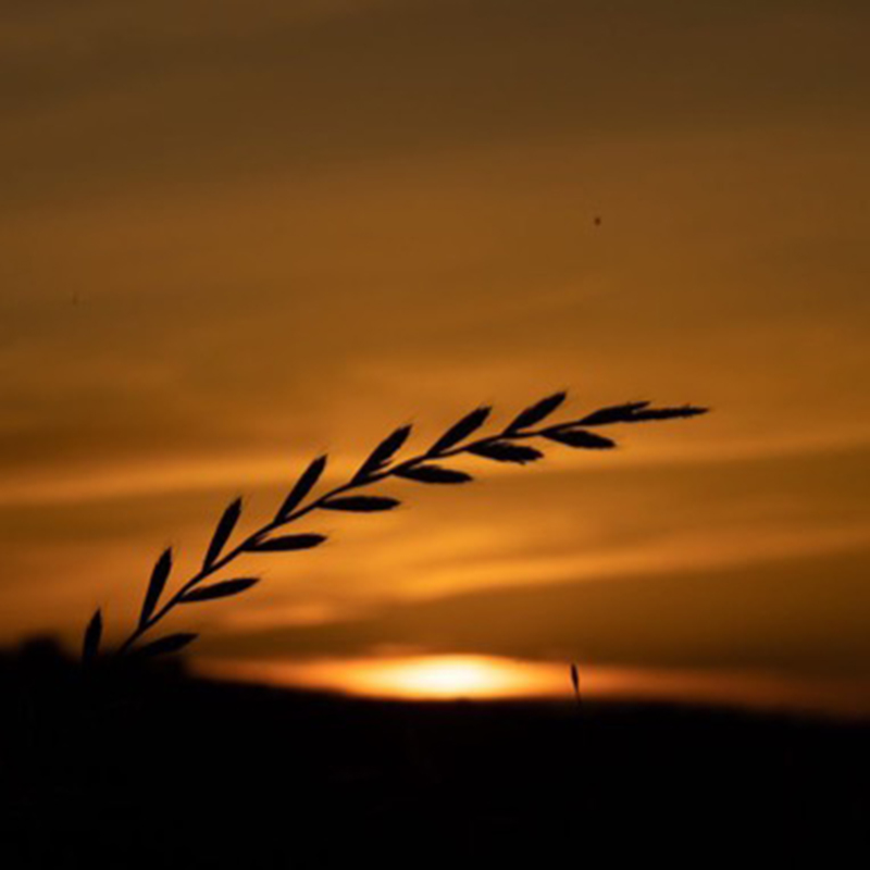 Photo taken by AGCM students