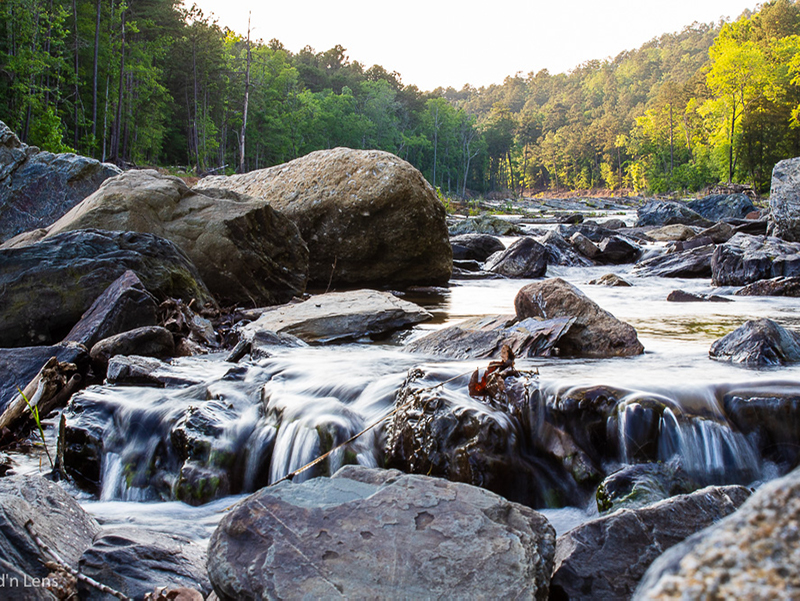 Photo taken by AGCM students