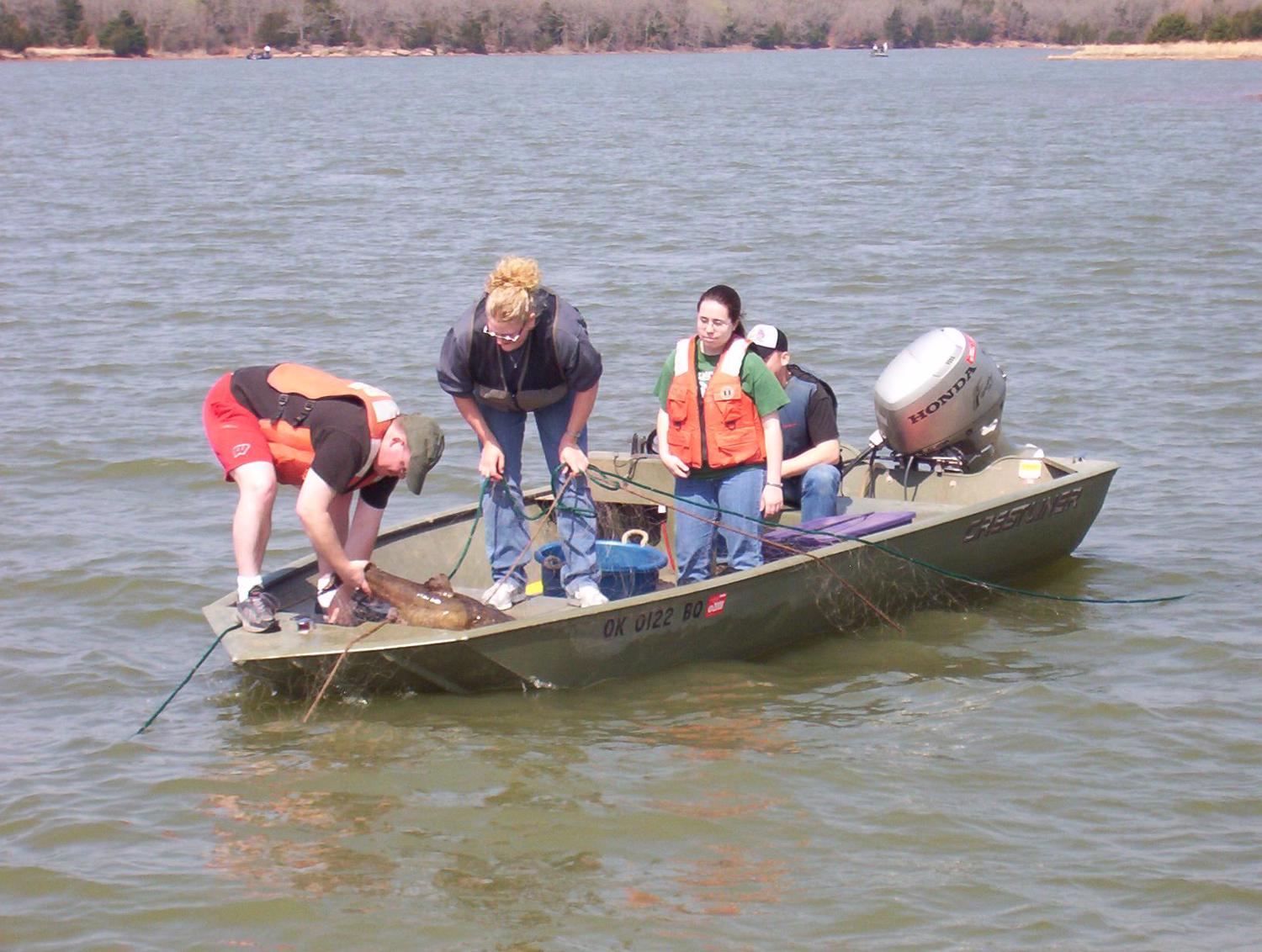 A group of people out on a boat working with fish.