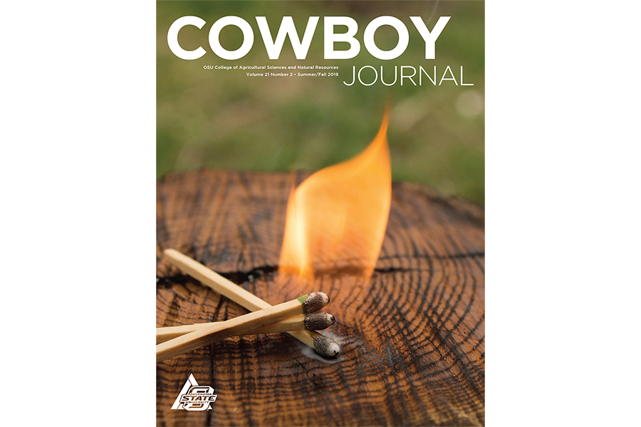 cj_summer-fall_2019_cover