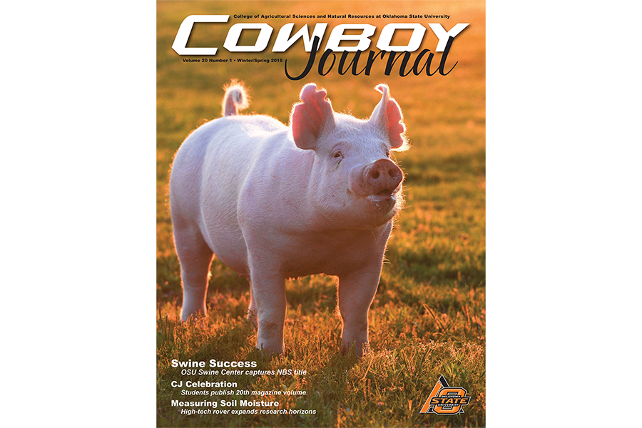 cj_winter-spring_2018_cover