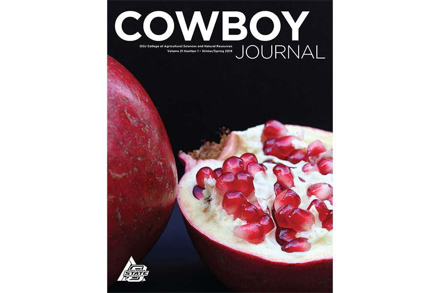 cj_winter-spring_2019_cover