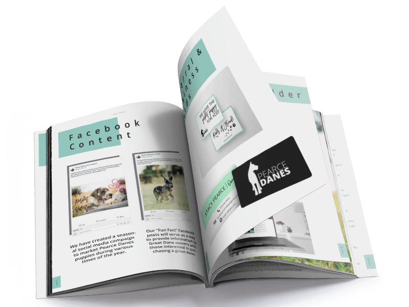 Pearce Danes Campaign Plan Book Pearce Danes Campaign Plan Book