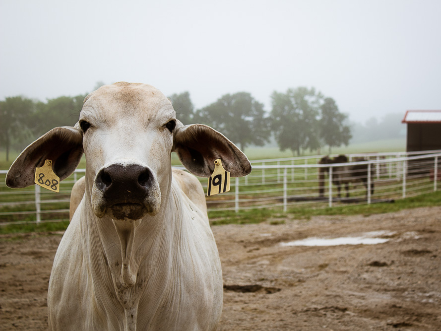 Photo taken by AGCM students Photo taken by AGCM students