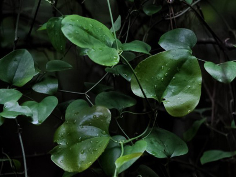 Photo taken by AGCM students Photo taken by AGCM students