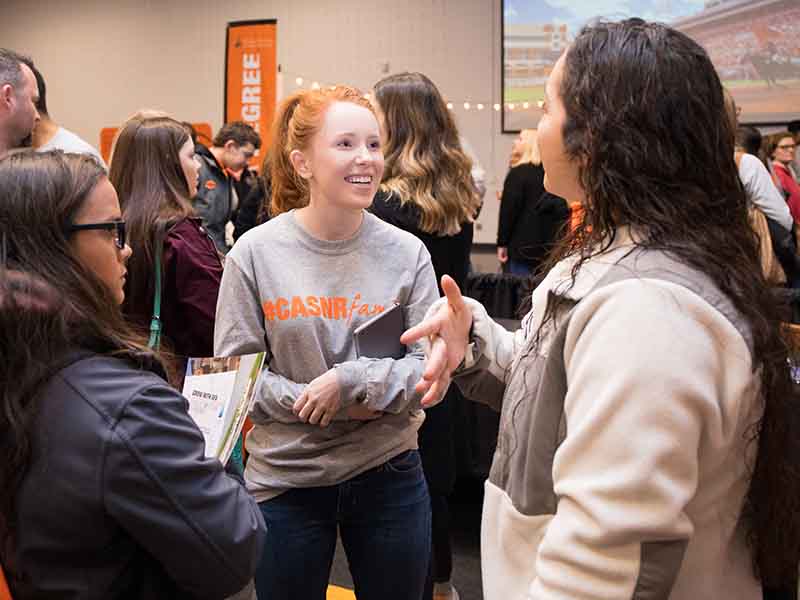 routing-undergrad-studentorgs-800-600