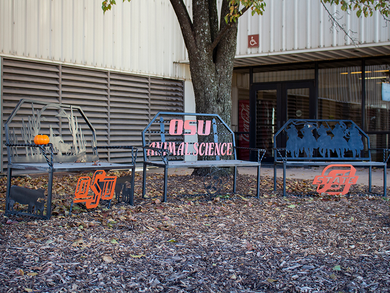 Bench seating in front of the Totusek Arena Benches outside of arena