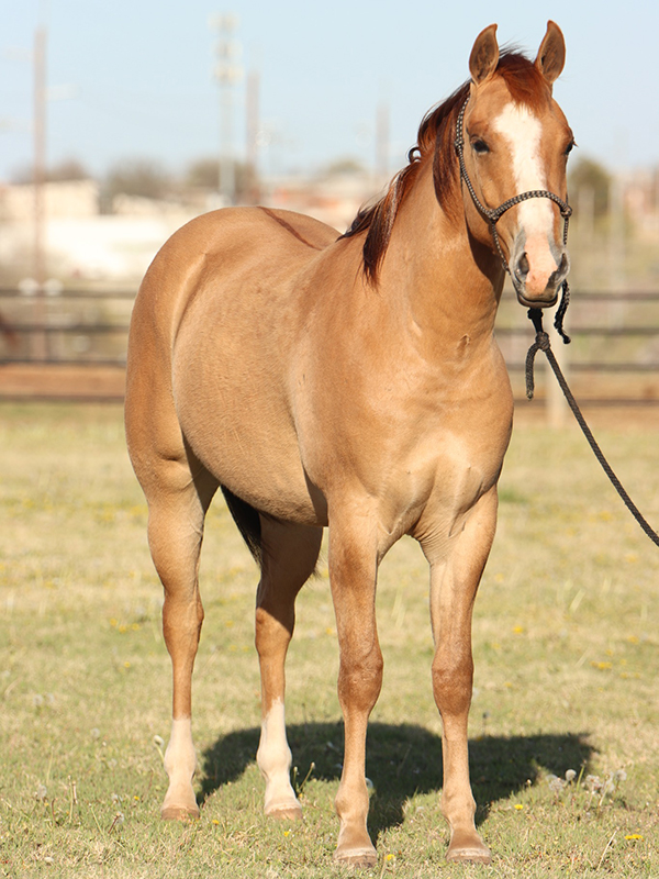 Fancy Lil Rey Fancy Lil Rey