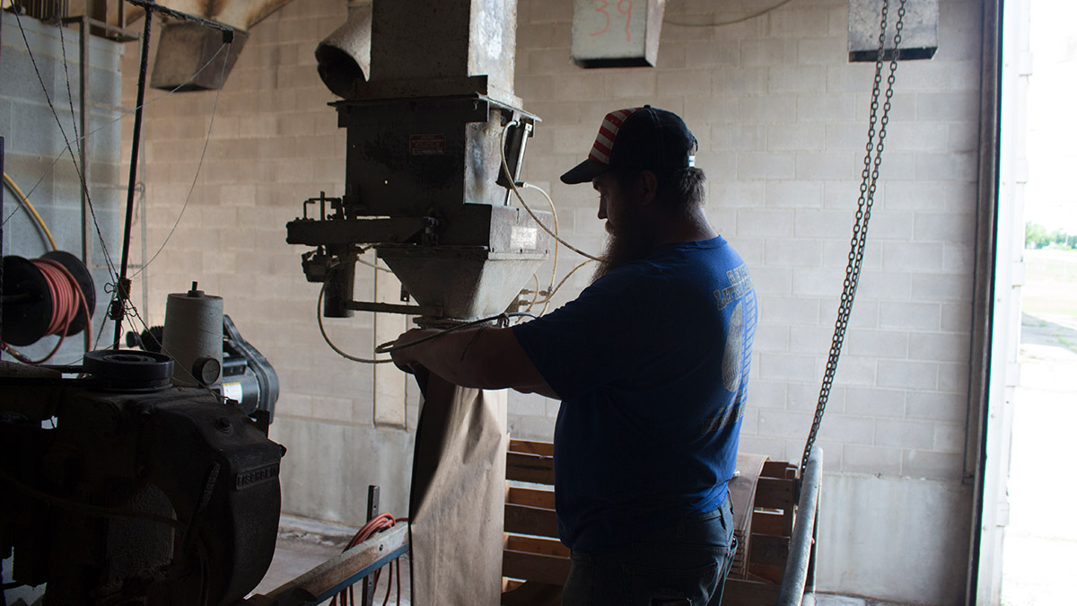 Staff member filling feed bag