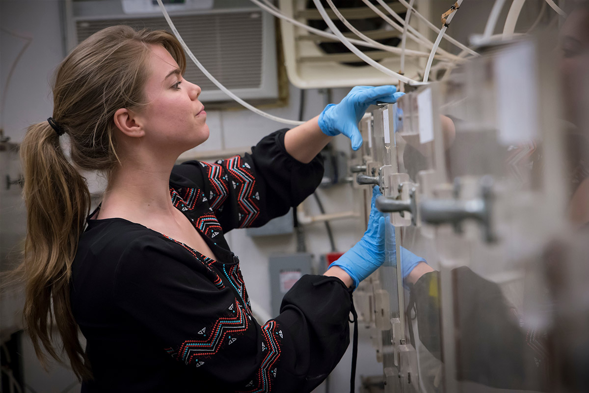 poultry-center.jpg Graduate student checking chambers.