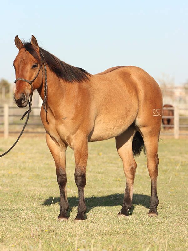 San and Sun San and Sun