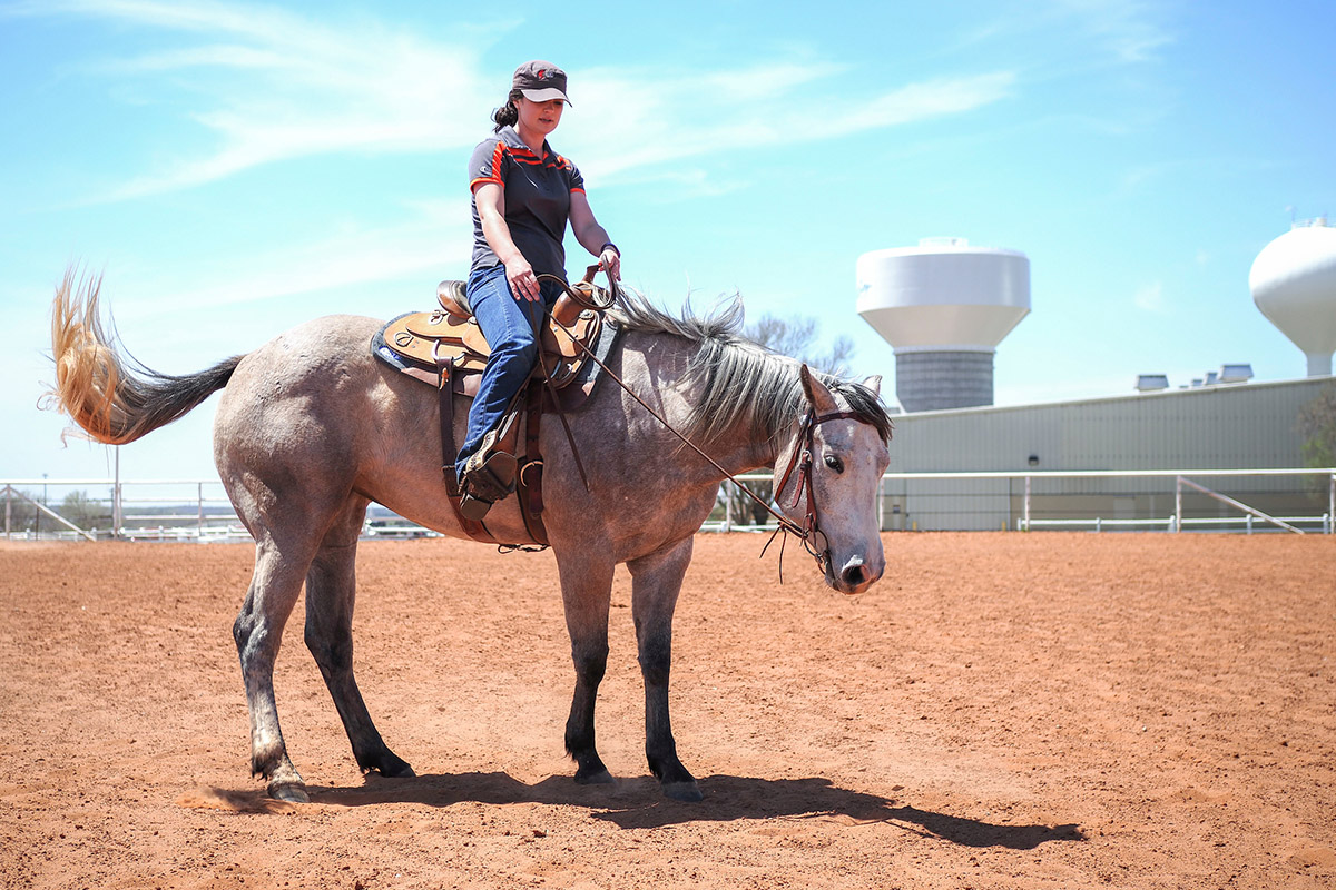 Herd manager on horse Herd manager on horse