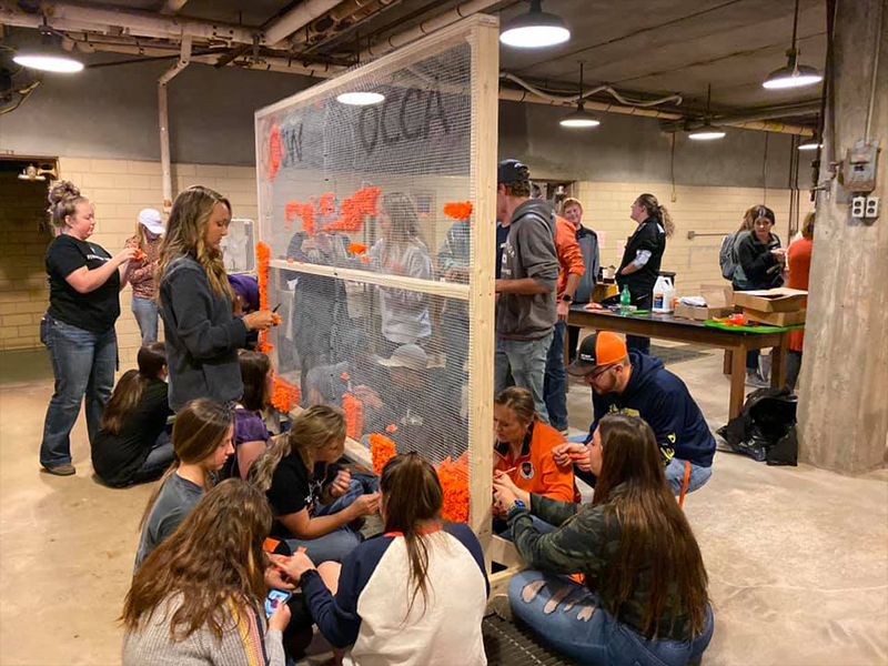 student-org