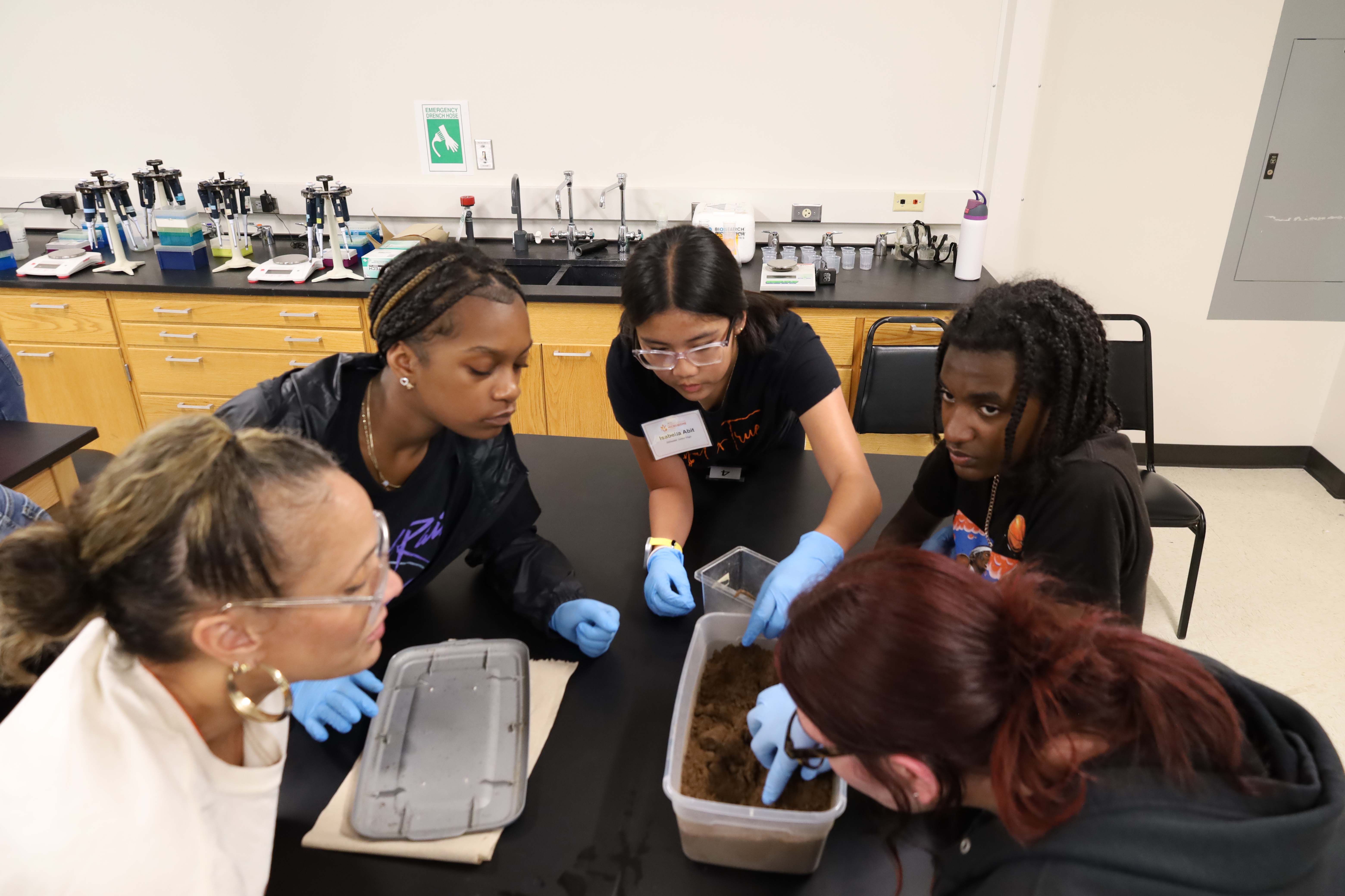 Students observing Burying Beetle Students observing Burying Beetle