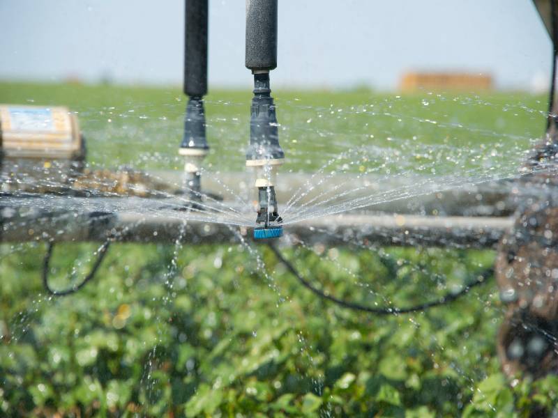 Detailed irrigation shot dispensing water to a field of crops. Detailed irrigation shot dispensing water to a field of crops.