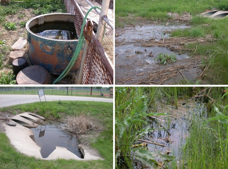 Habitats mosquitoes are drawn to