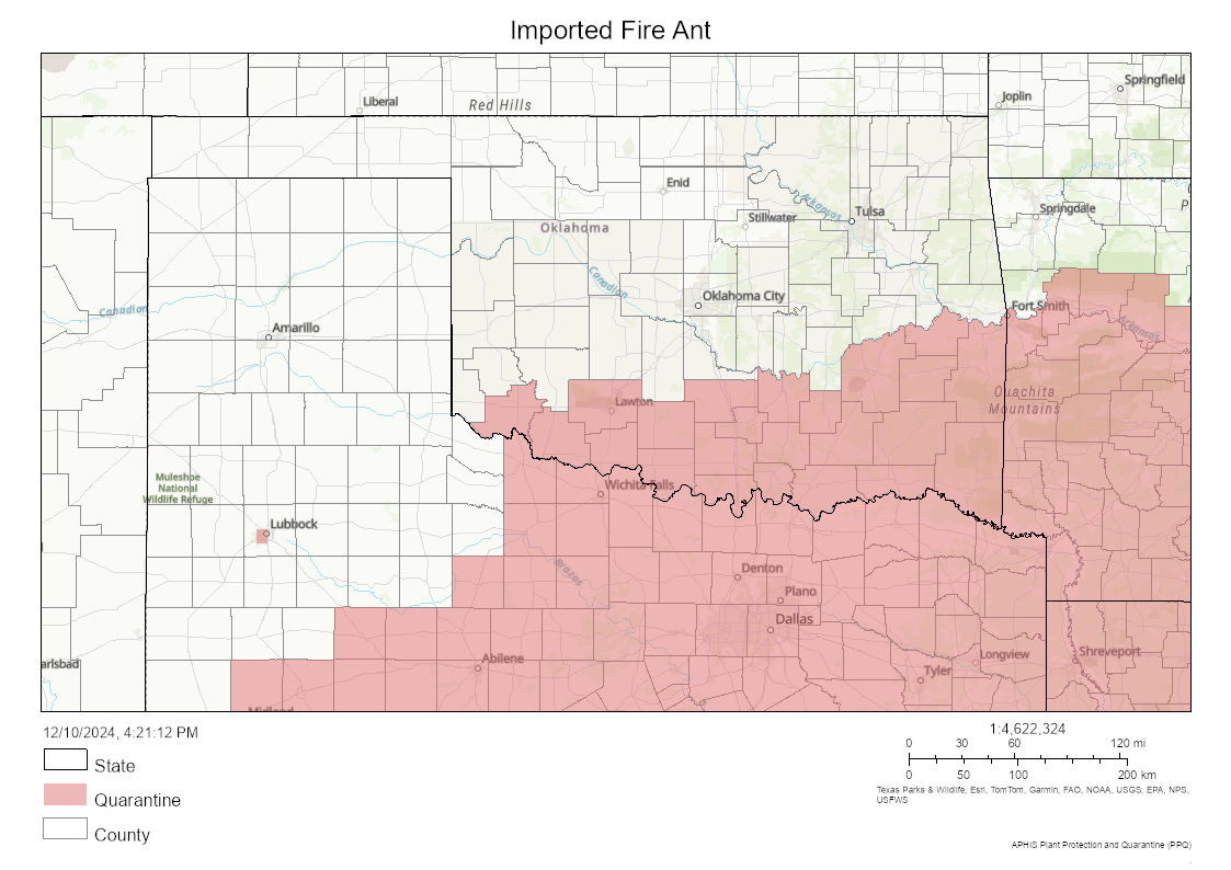 Oklahoma map of USDA IFA quarantine areas. Updated 2024. The map shows the counties in Oklahoma affected by highlighting them in red. Most of the counties in Southern and East-Central Oklahoma are affected.