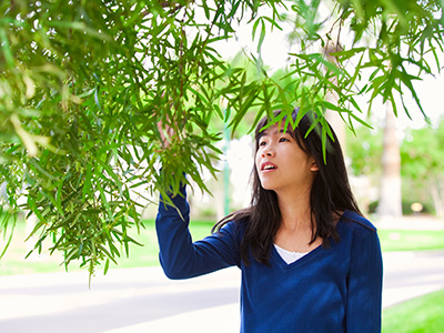 Nursery/Landscape Career Development Event