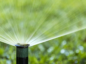 ThinkWater conserving our natural resources through sustainable practices.