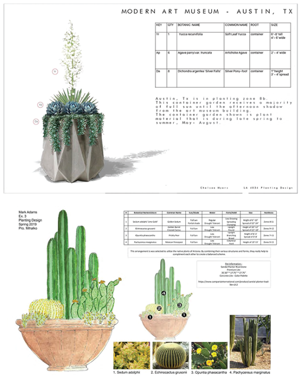LA 4034: Landscape Planting Design by students Meyer and Adams