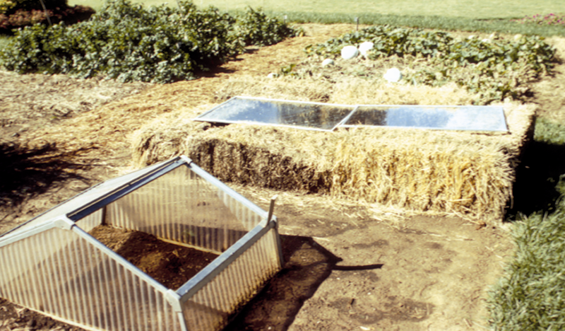 Coldframe and Hot Beds image