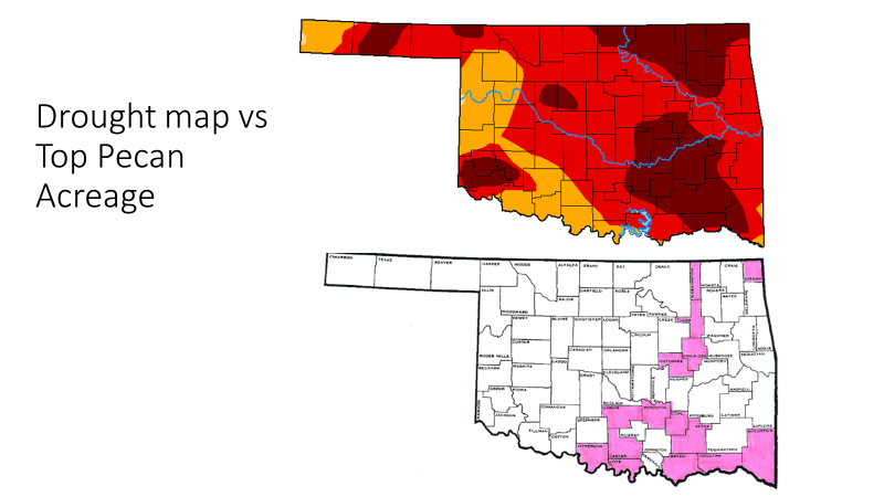 drought map verses top pecan acreage Drought map verses Top pecan acreage