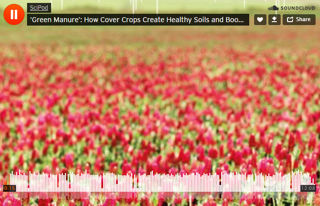 How cover crops create healthy soils and boost crop yields