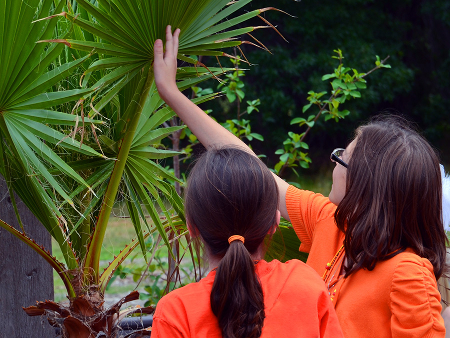 Two youth discovering the various textures and aromas of different ornament plants.