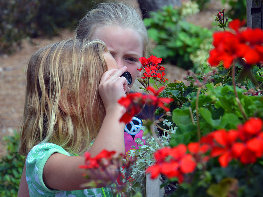 Two young girls looking through a magnifying glass and discovering the small insects on the geraniums.