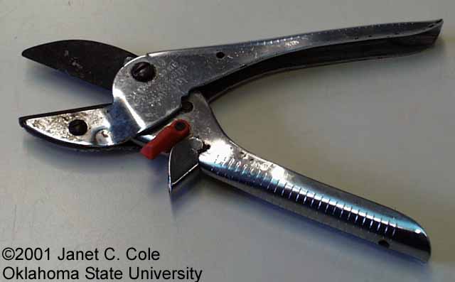 anvil and blade pruners