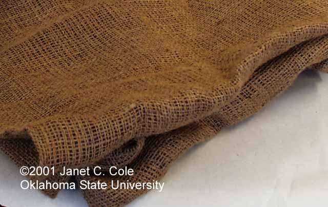 burlap