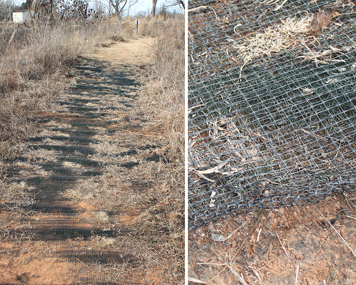 Erosion Netting