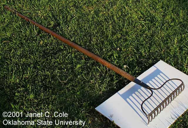 Garden Rake
