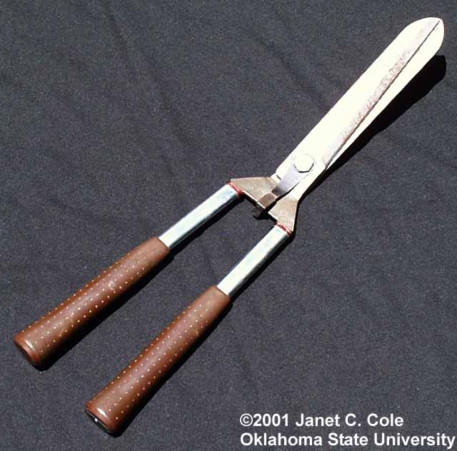 hedge shears