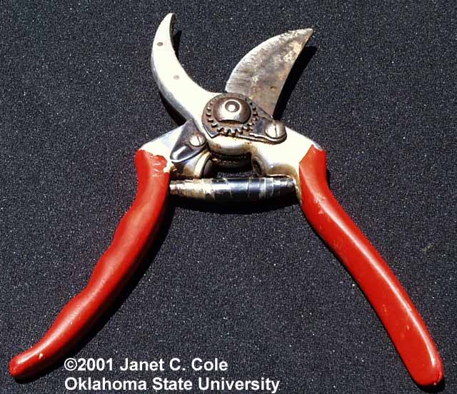 hook and blade pruners