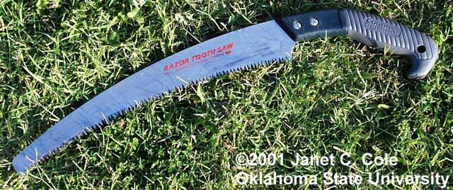 pruning saw