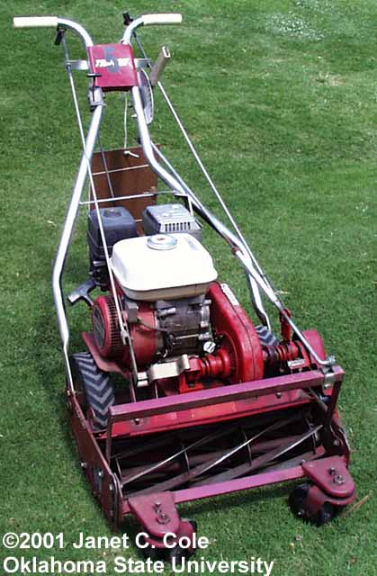 reel mower
