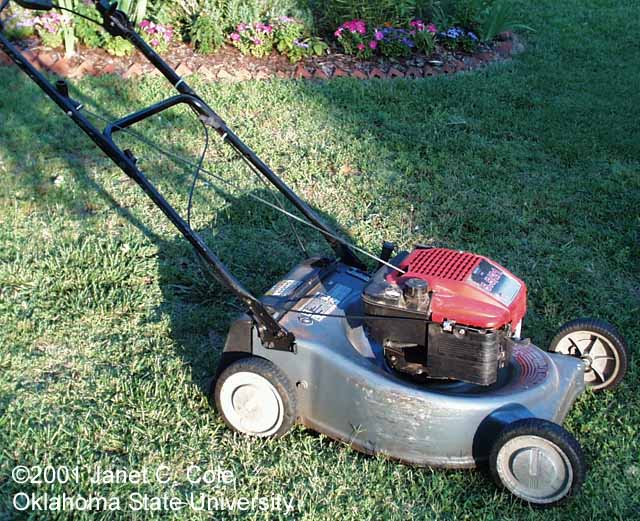 rotary mower
