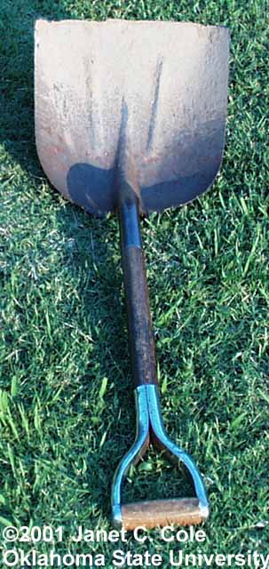 scoop shovel