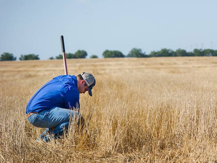 department_plantandsoil
