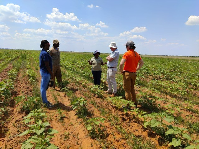 Five people standing in a field in South Africa.