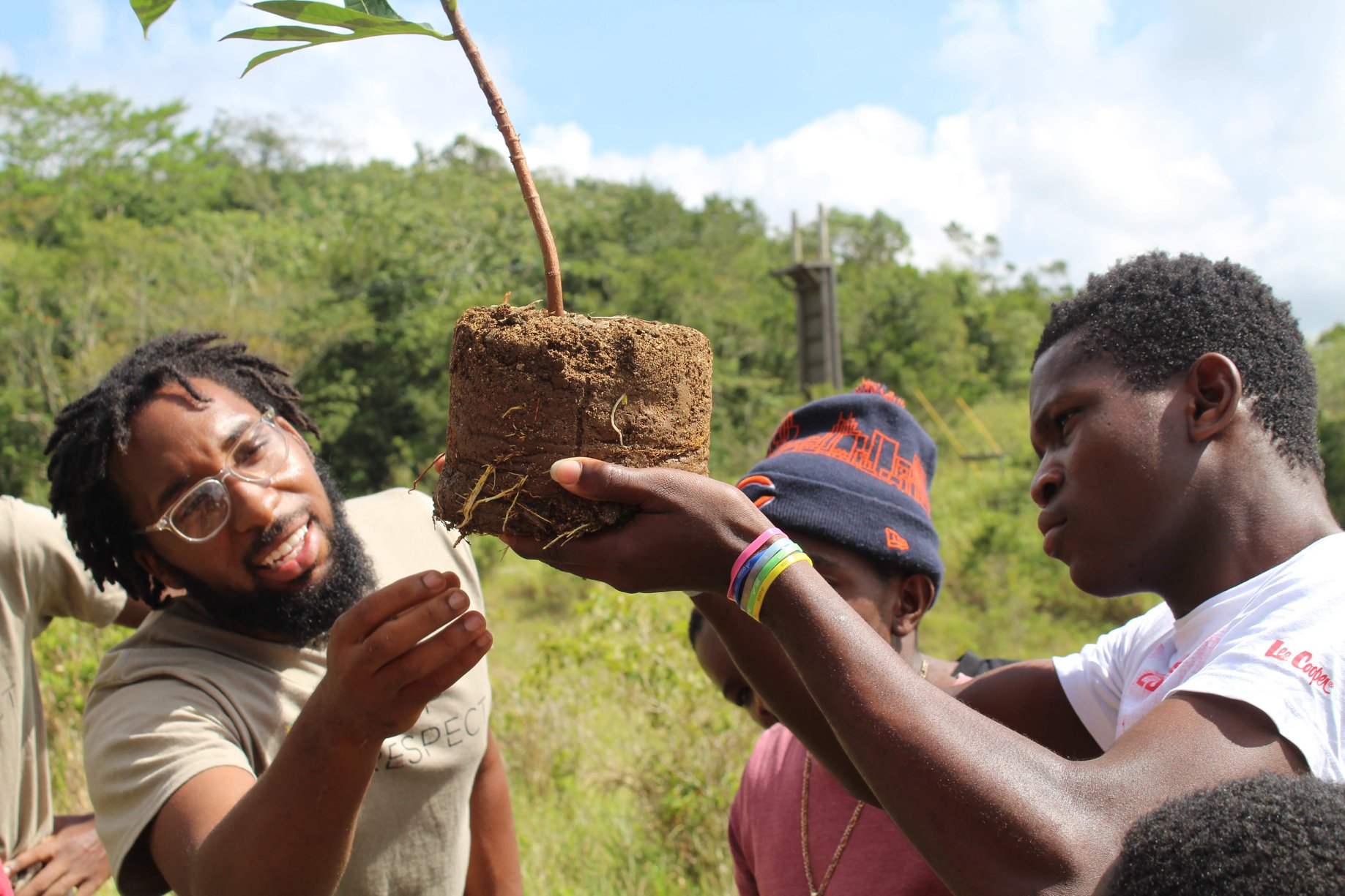 Don Holly, an OSU student, looking at a plant in a field in Jamaica.