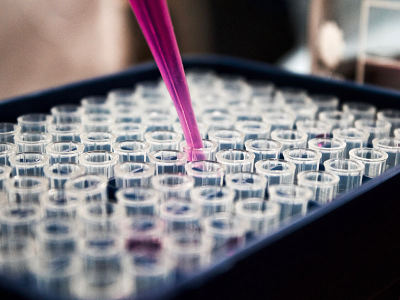 research-800x600