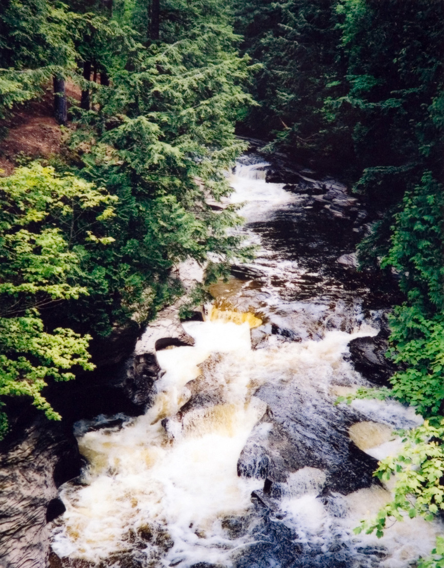 A rushing stream of water next to a bed of rocks and green trees.