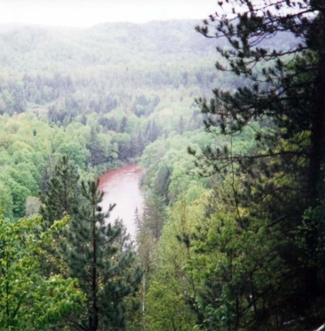 A lanscape view looking towards a stream of water nested in between green trees.