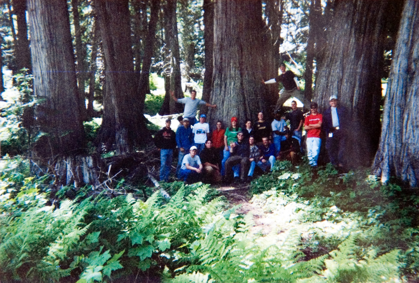 Students gather around for photo among tall trees.