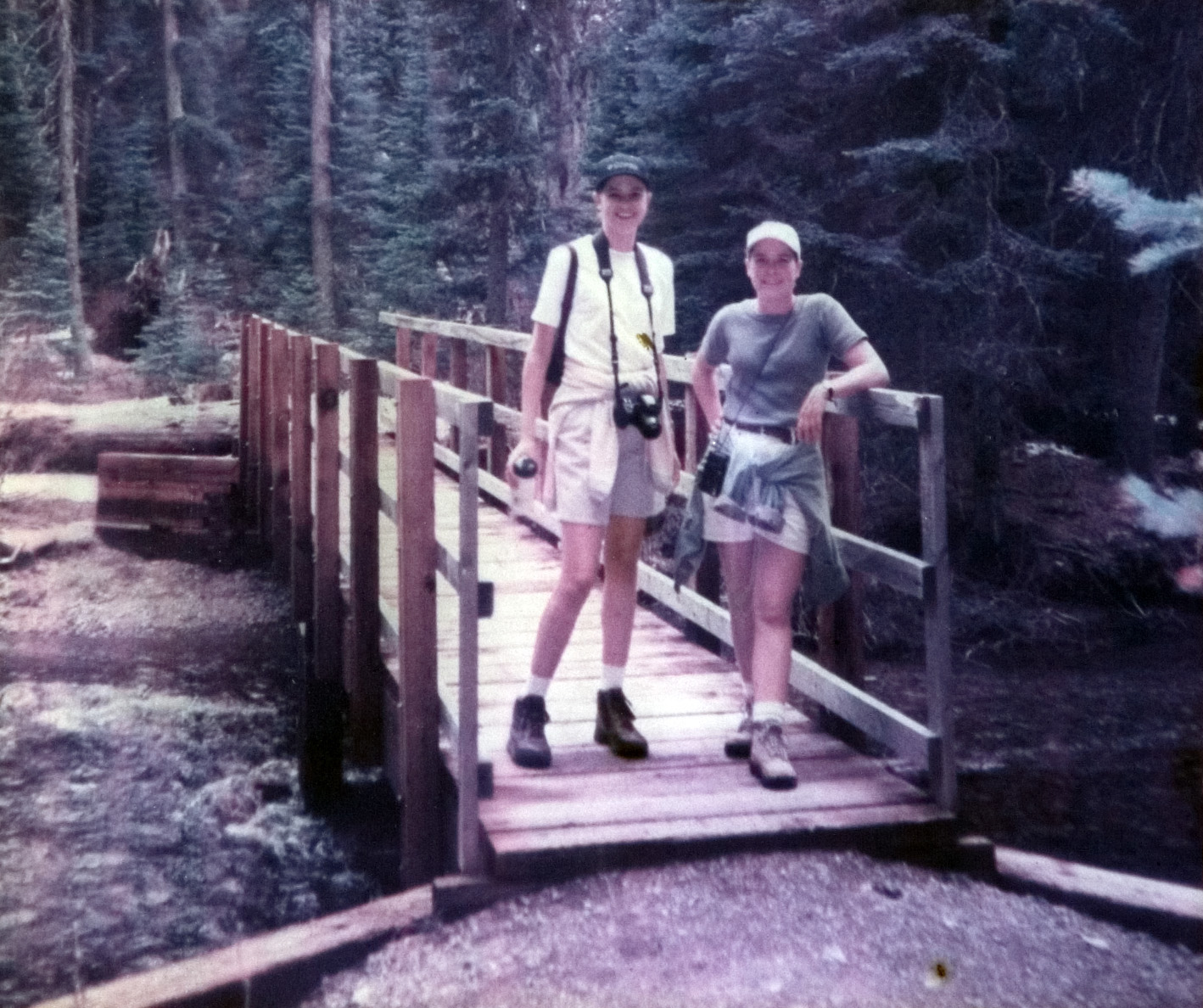 Two students standing at the end of a wooden bridge above a stream of water in a forest.