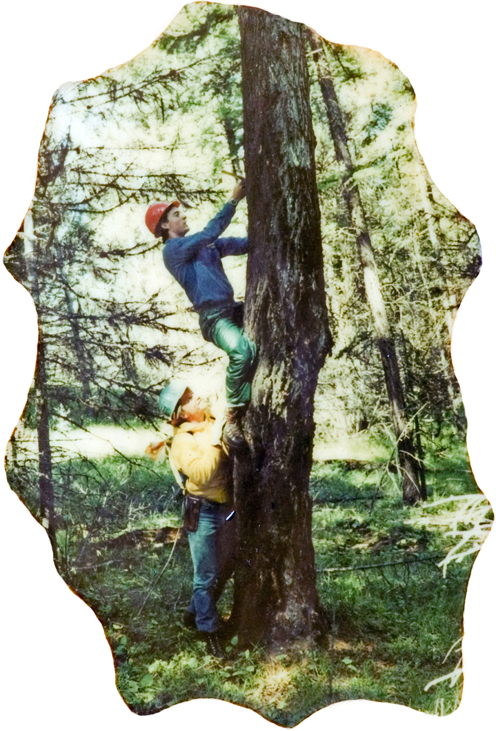 Two people climning a tree trunk.