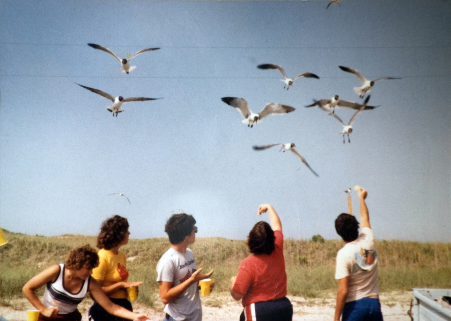 Five students offering food to flying seagulls.